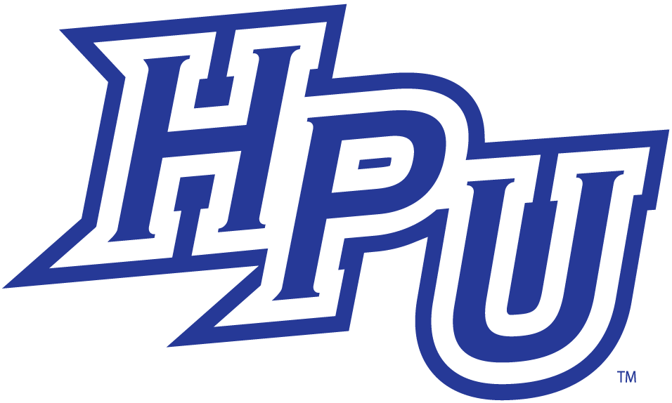 High Point Panthers 2004-2011 Alternate Logo v5 diy DTF decal sticker